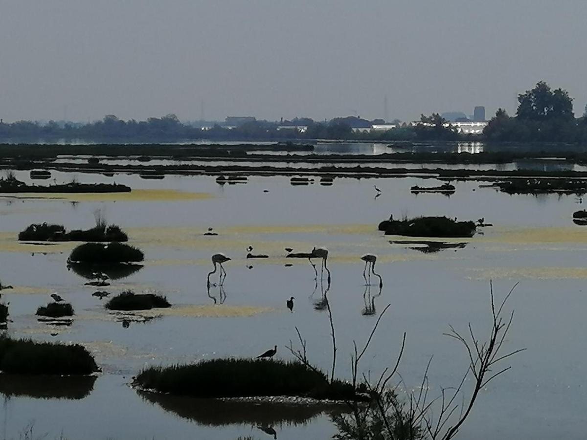 Orizzonte Marino Blu-Vacanza Ricca Di Colori Cavallino-Treporti Luaran gambar
